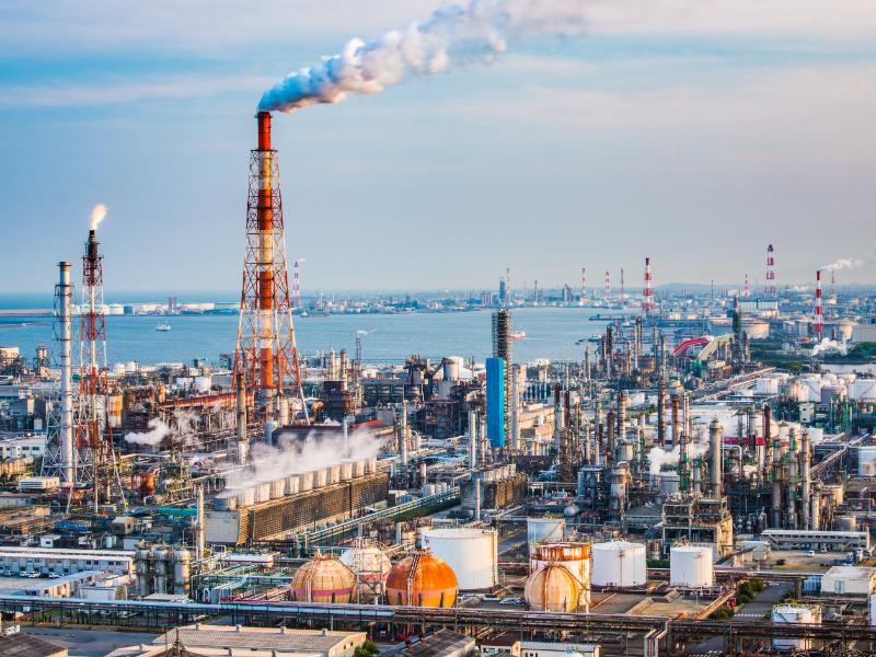Environmental Counseling: 3 Ways to Prepare for Professional Services